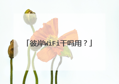 彼岸WiFi干吗用？