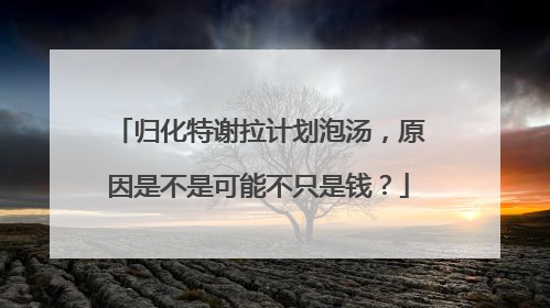归化特谢拉计划泡汤，原因是不是可能不只是钱？