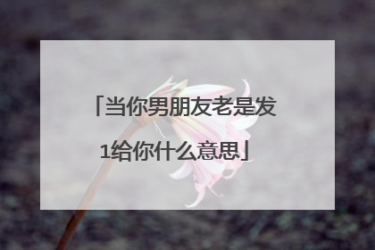 当你男朋友老是发1给你什么意思