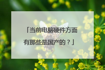 当前电脑硬件方面有那些是国产的?
