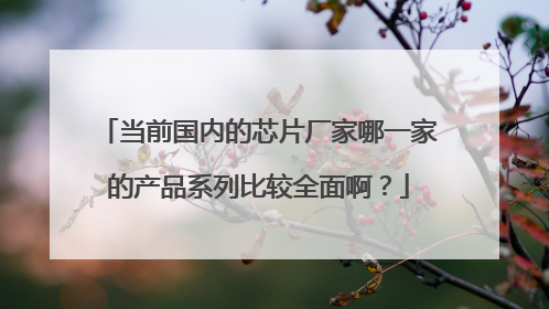 当前国内的芯片厂家哪一家的产品系列比较全面啊?