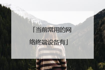 当前常用的网络终端设备有