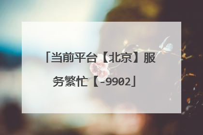 当前平台【北京】服务繁忙【-9902
