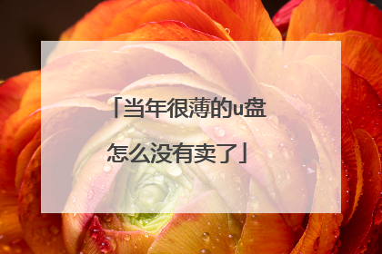 当年很薄的u盘怎么没有卖了