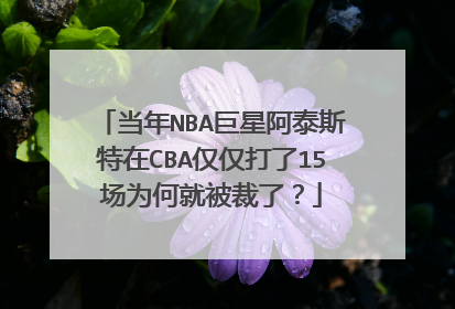 当年NBA巨星阿泰斯特在CBA仅仅打了15场为何就被裁了？