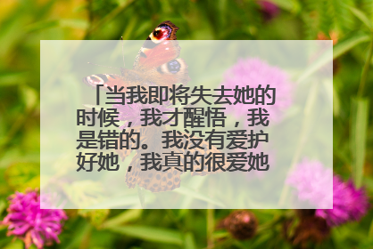 当我即将失去她的时候,我才醒悟,我是错的。我没有爱护好她,我真的很爱她。可是错了就是错了,我能怎么