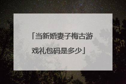 当新婚妻子梅古游戏礼包码是多少