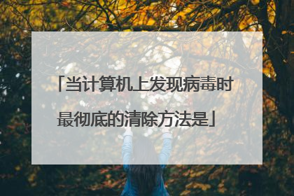 当计算机上发现病毒时最彻底的清除方法是