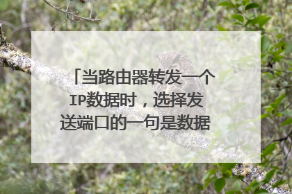 当路由器转发一个IP数据时,选择发送端口的一句是数据报中包含的()?