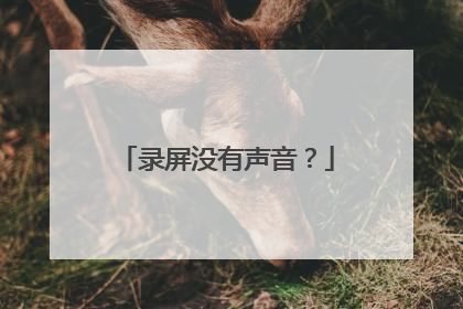 录屏没有声音?