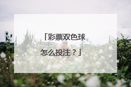 彩票双色球怎么投注?