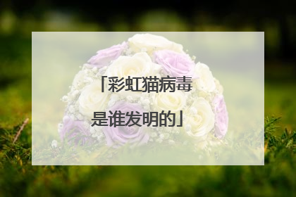 彩虹猫病毒是谁发明的