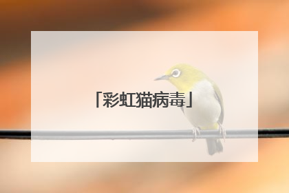 彩虹猫病毒