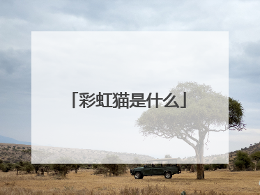 彩虹猫是什么