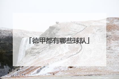 德甲都有哪些球队