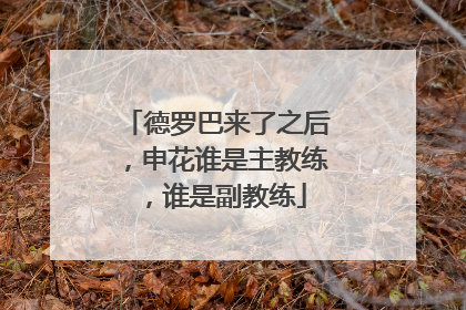 德罗巴来了之后,申花谁是主教练,谁是副教练