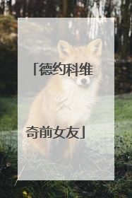 德约科维奇前女友