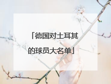 德国对土耳其的球员大名单