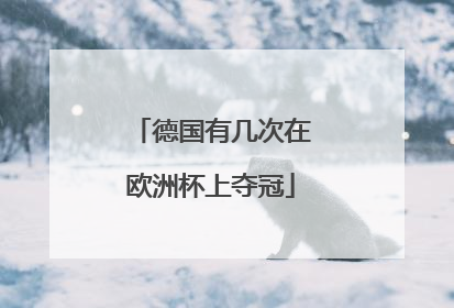 德国有几次在欧洲杯上夺冠