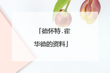 德怀特.霍华德的资料