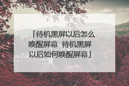 待机黑屏以后怎么唤醒屏幕 待机黑屏以后如何唤醒屏幕