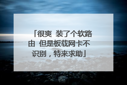 很爽 装了个软路由 但是板载网卡不识别,特来求助