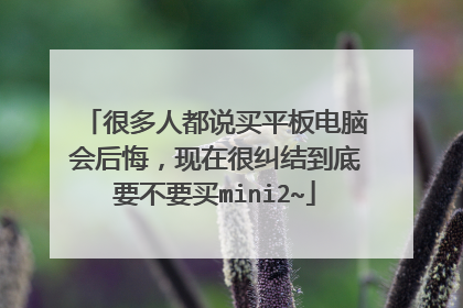 很多人都说买平板电脑会后悔,现在很纠结到底要不要买mini2~
