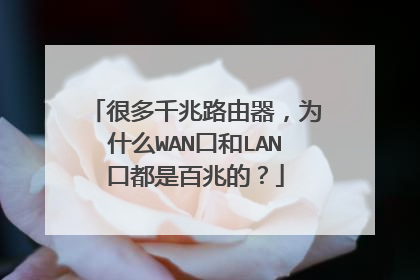 很多千兆路由器,为什么WAN口和LAN口都是百兆的?