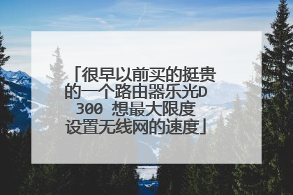 很早以前买的挺贵的一个路由器乐光D300 想最大限度设置无线网的速度