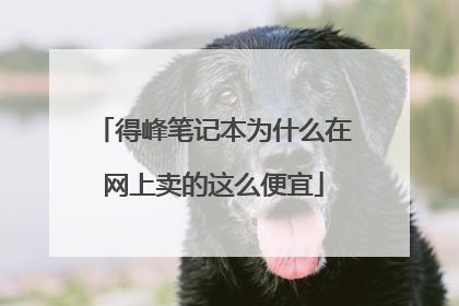 得峰笔记本为什么在网上卖的这么便宜
