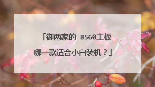 御两家的 B560主板哪一款适合小白装机?
