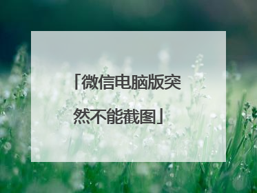 微信电脑版突然不能截图