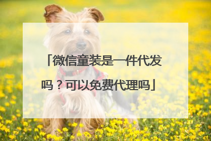 微信童装是一件代发吗？可以免费代理吗