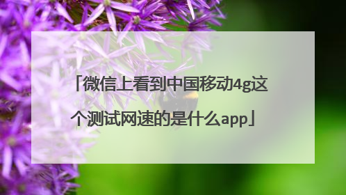 微信上看到中国移动4g这个测试网速的是什么app