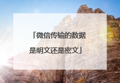 微信传输的数据是明文还是密文