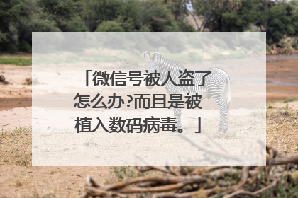 微信号被人盗了怎么办?而且是被植入数码病毒。