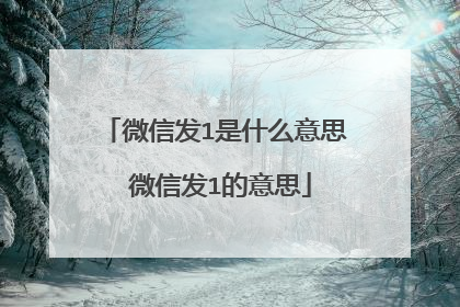 微信发1是什么意思 微信发1的意思