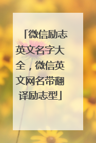 微信励志英文名字大全,微信英文网名带翻译励志型