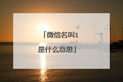 微信名叫1是什么意思