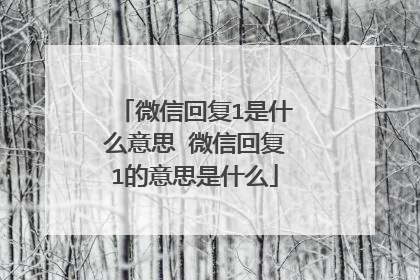 微信回复1是什么意思 微信回复1的意思是什么
