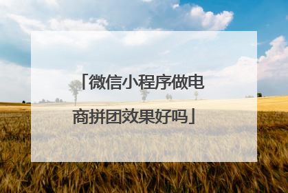 微信小程序做电商拼团效果好吗