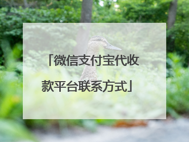 微信支付宝代收款平台联系方式