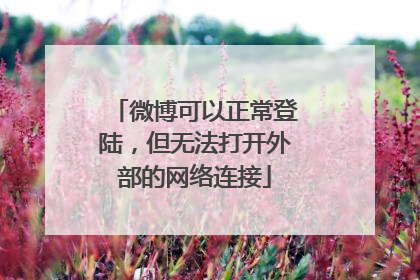 微博可以正常登陆,但无法打开外部的网络连接
