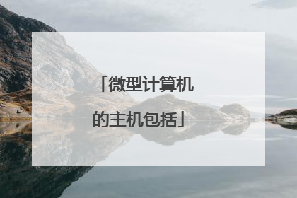 微型计算机的主机包括