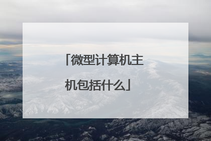微型计算机主机包括什么