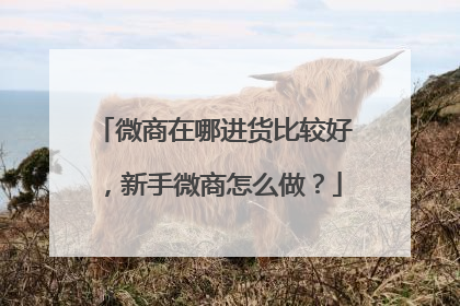 微商在哪进货比较好，新手微商怎么做？