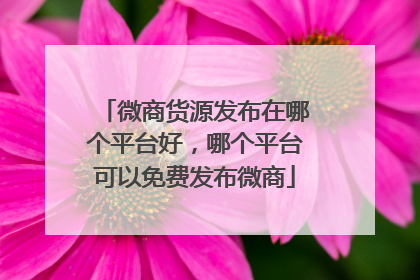 微商货源发布在哪个平台好,哪个平台可以免费发布微商