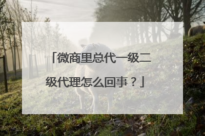 微商里总代一级二级代理怎么回事?