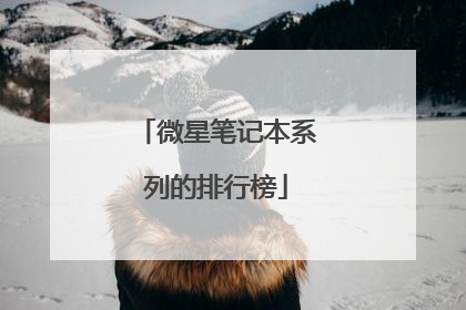 微星笔记本系列的排行榜