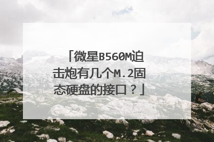 微星B560M迫击炮有几个M.2固态硬盘的接口?